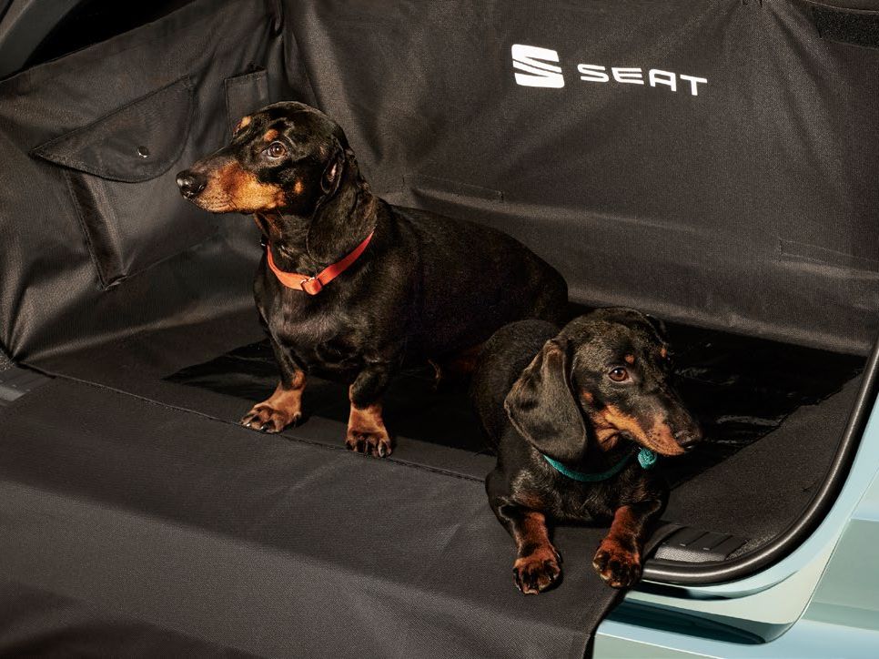 Dva jazvečíky sedia v batožinovom priestore vozidla SEAT. Jeden pes má na krku oranžový obojok, druhý má modrý obojok. Batožinový priestor je pokrytý ochrannou plachtou.